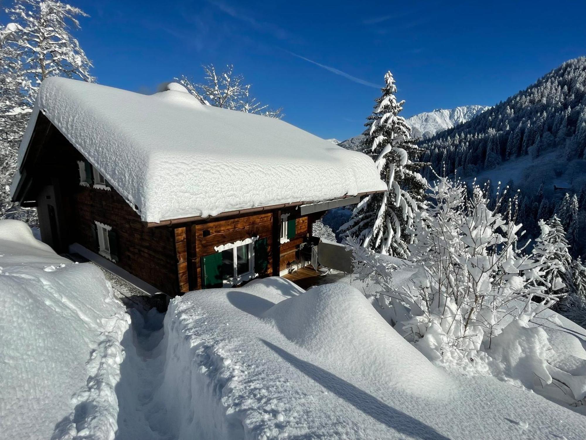 Alpenchalet Piz Huesli 차군스 외부 사진
