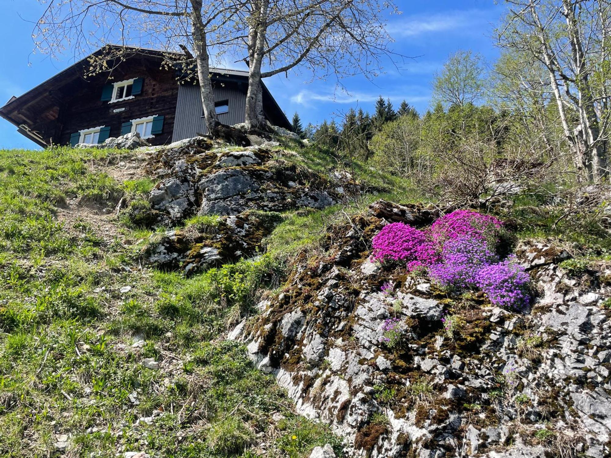 Alpenchalet Piz Huesli 차군스 외부 사진
